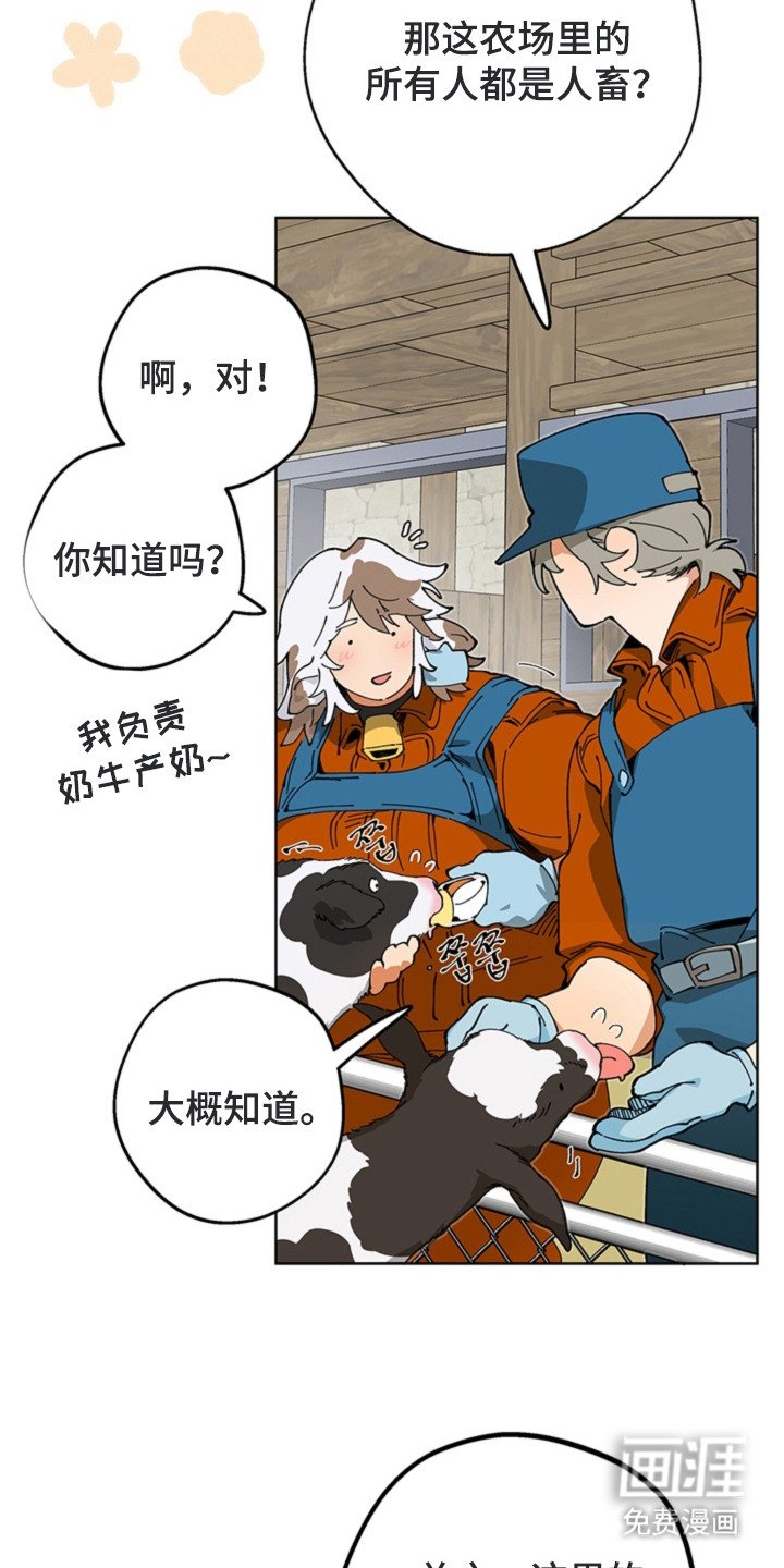 第16章：救命恩人