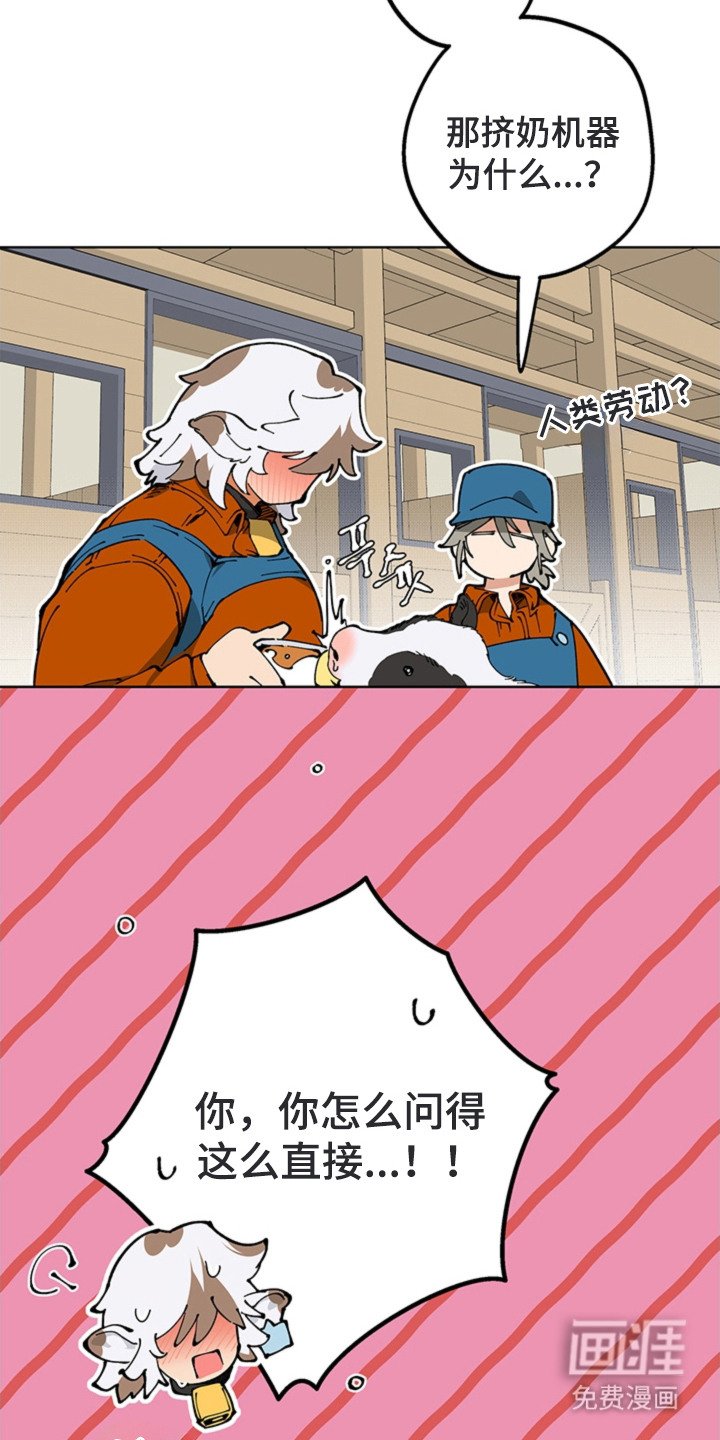 第16章：救命恩人
