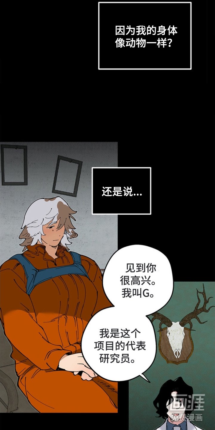 第17章：闯祸