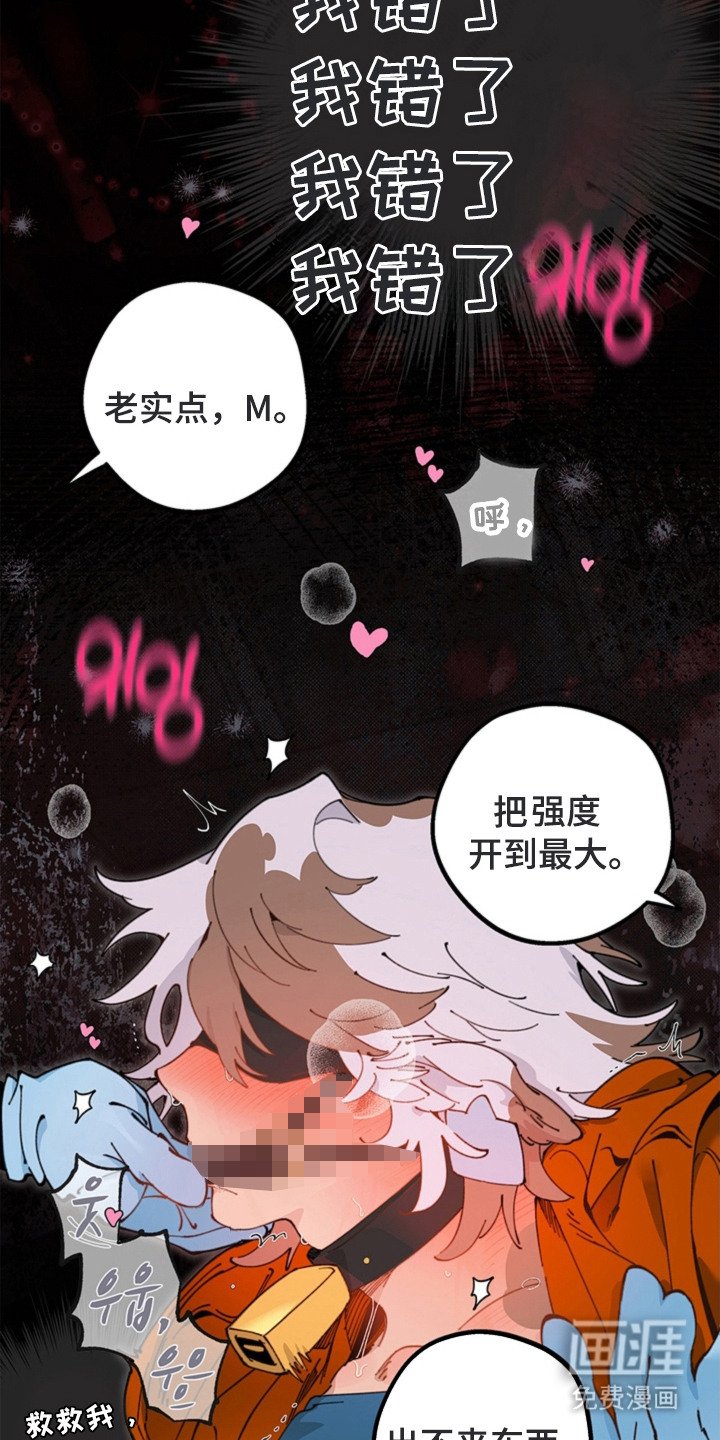 第17章：闯祸
