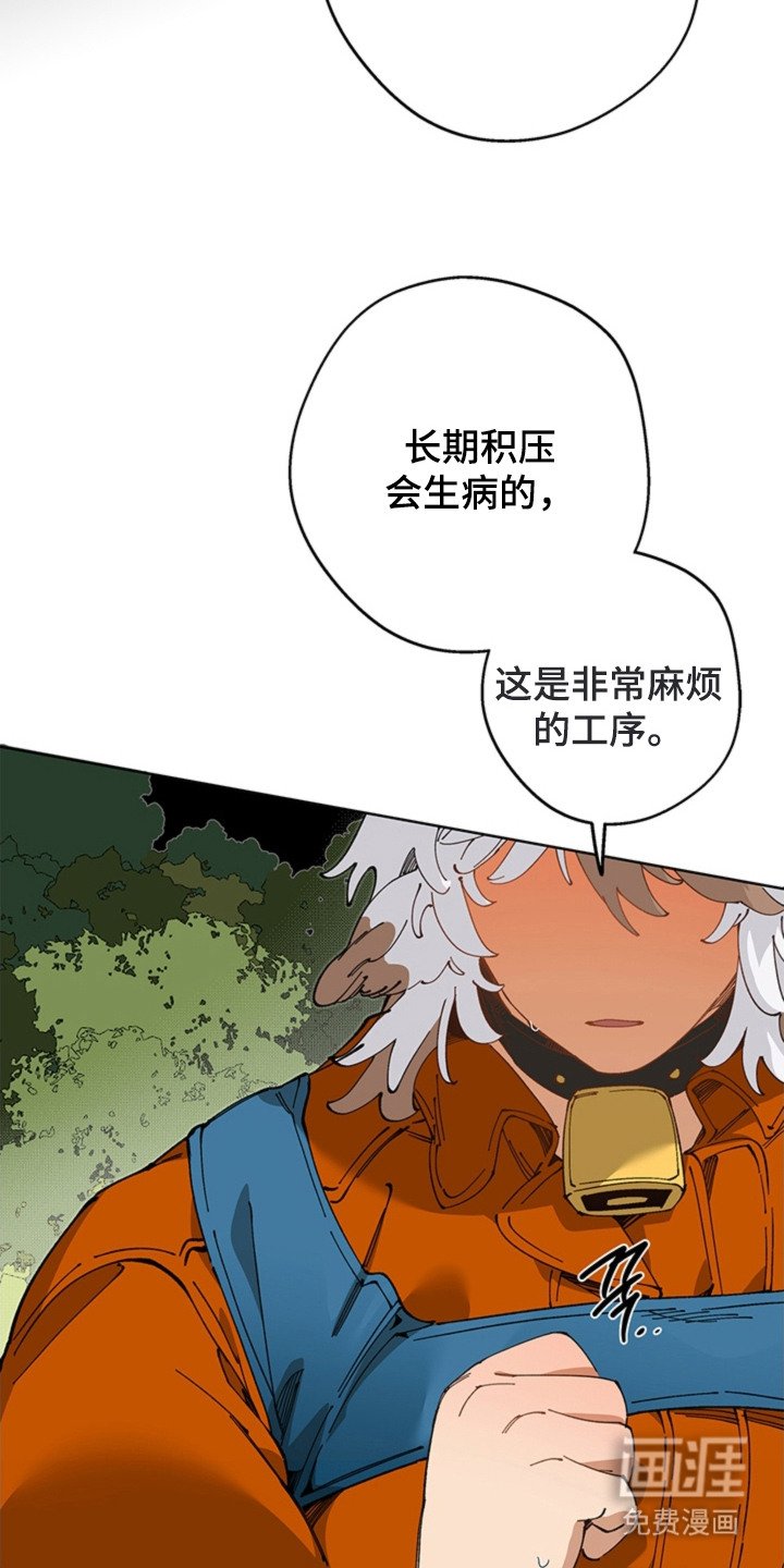 第18章：被认可