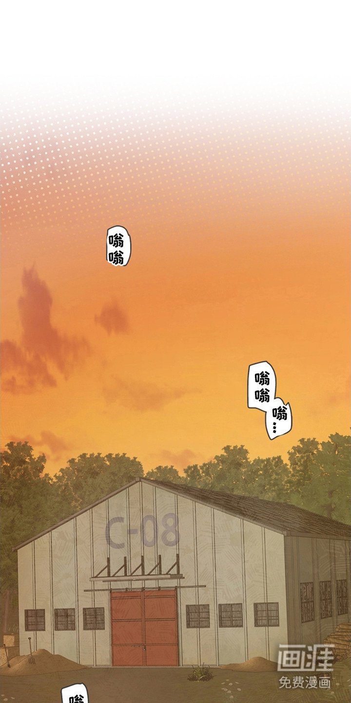 第4章：机器
