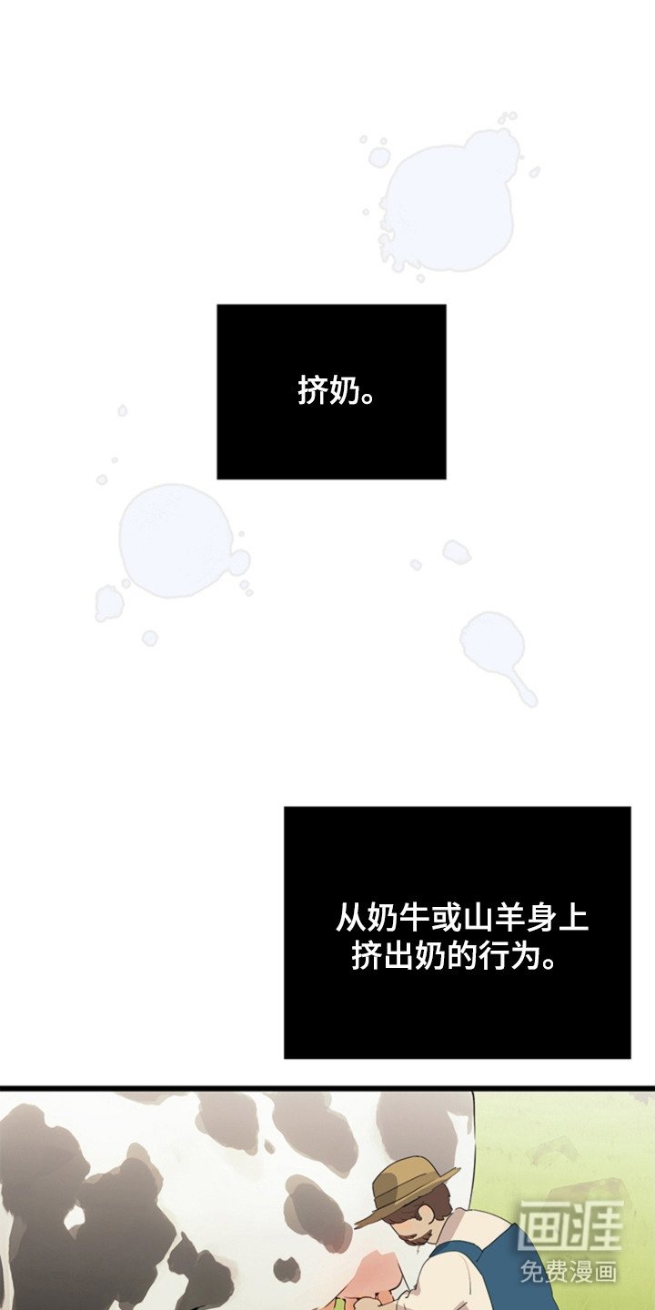 第5章：手册