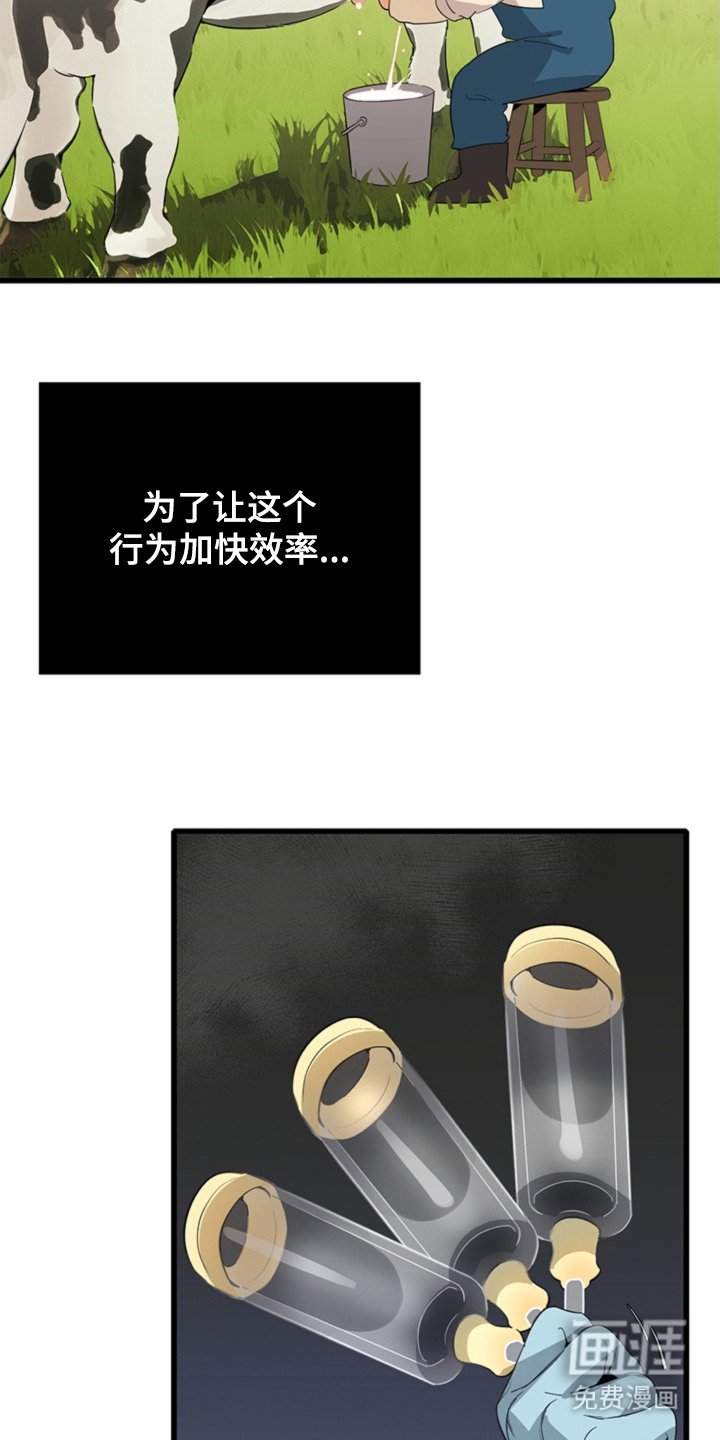 第5章：手册