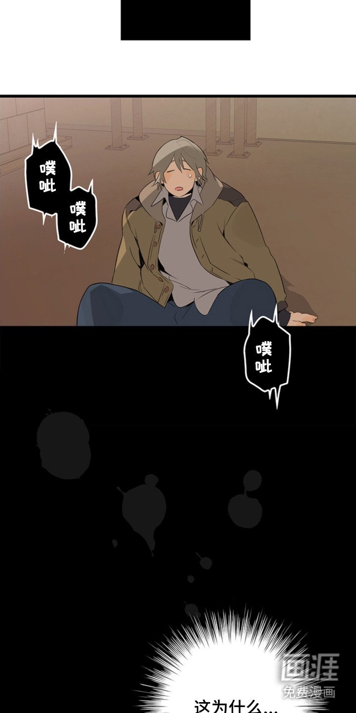 第5章：手册