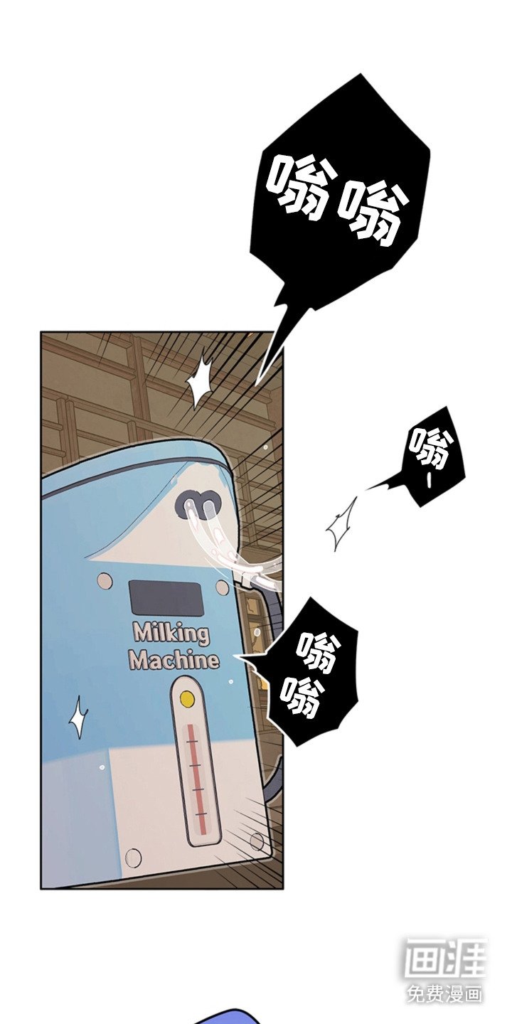 第5章：手册