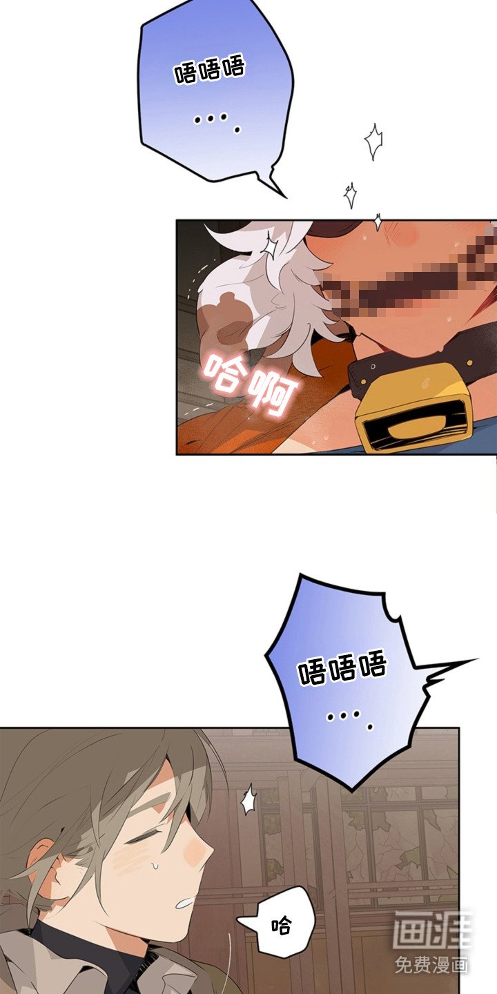 第5章：手册