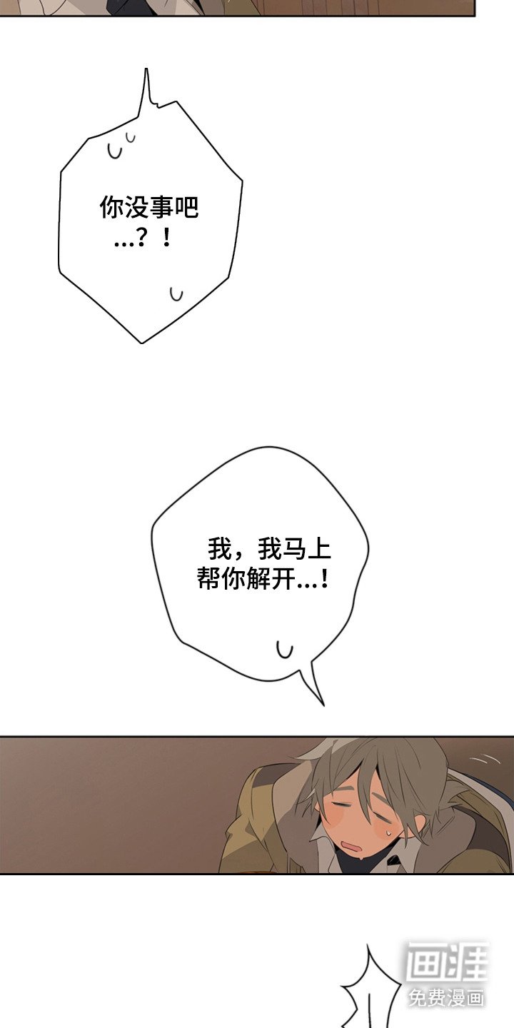 第5章：手册