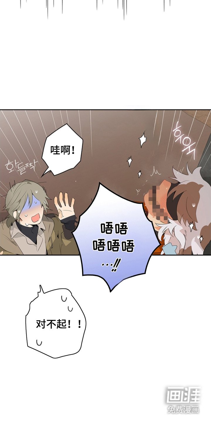 第5章：手册