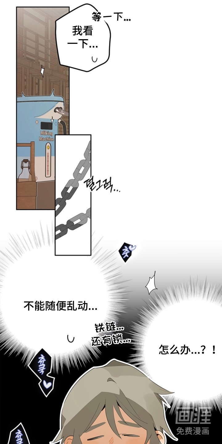 第5章：手册