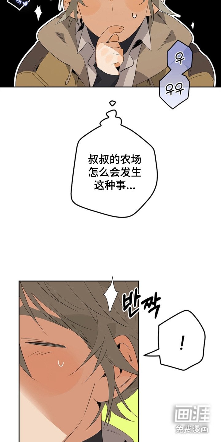 第5章：手册