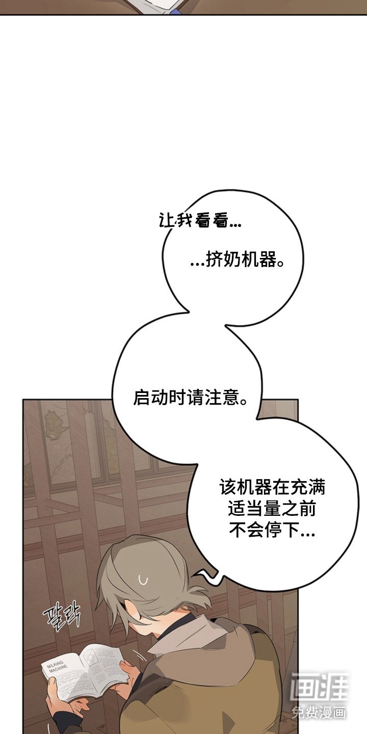 第5章：手册