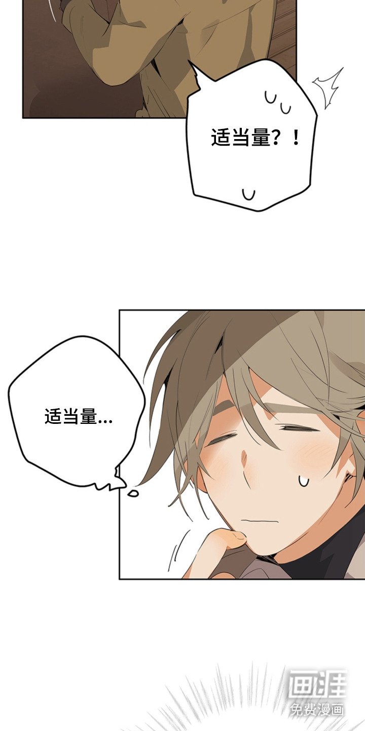 第5章：手册