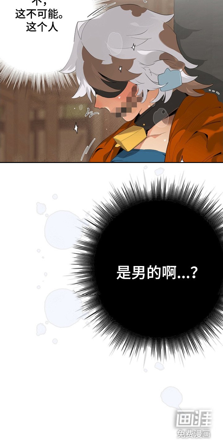 第5章：手册