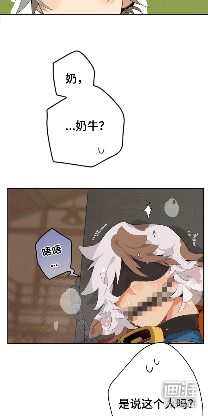 第5章：手册