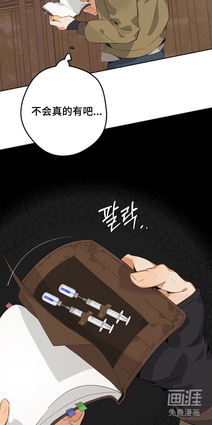 第6章：被撞倒
