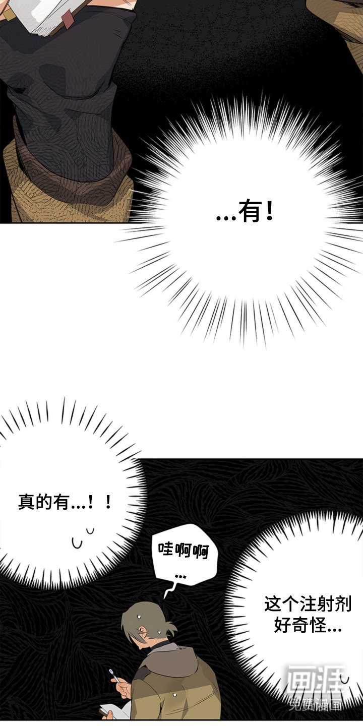 第6章：被撞倒