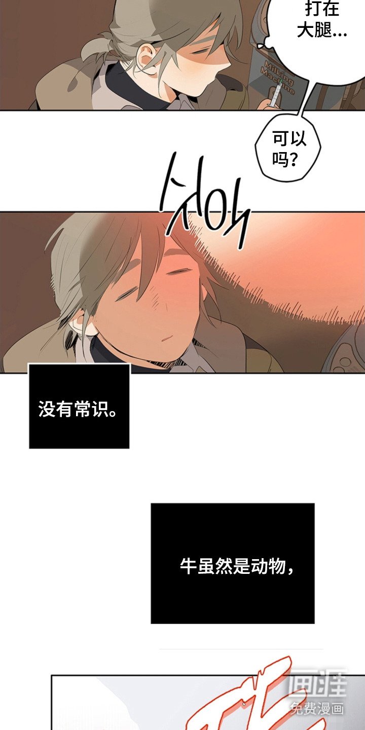 第6章：被撞倒