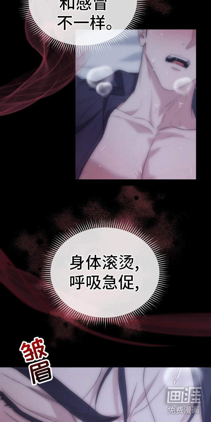 第1章：我养你