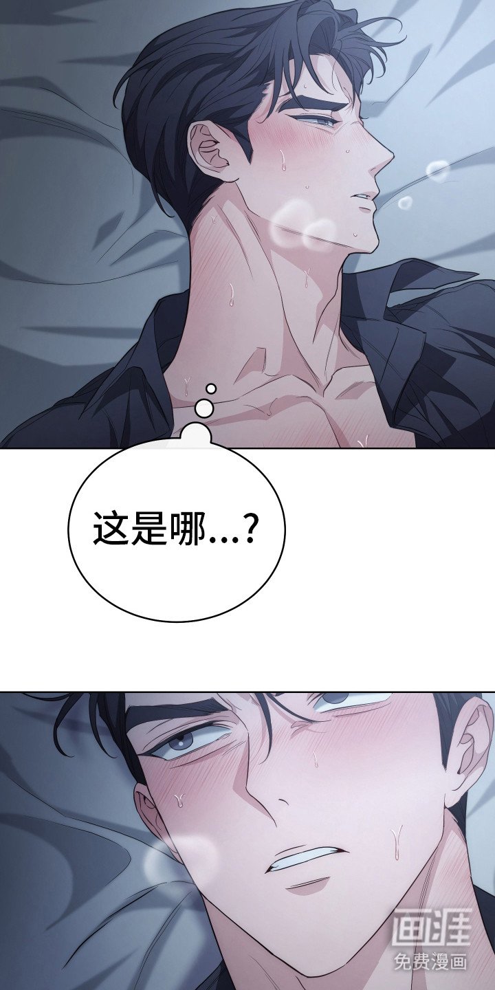 第1章：我养你
