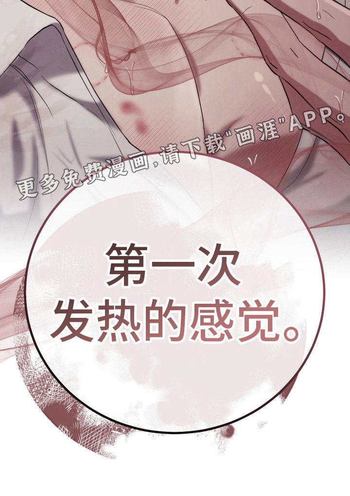 第15章：镇定剂