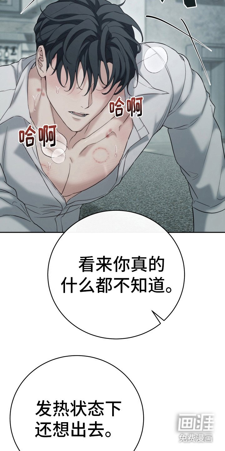 第16章：条件