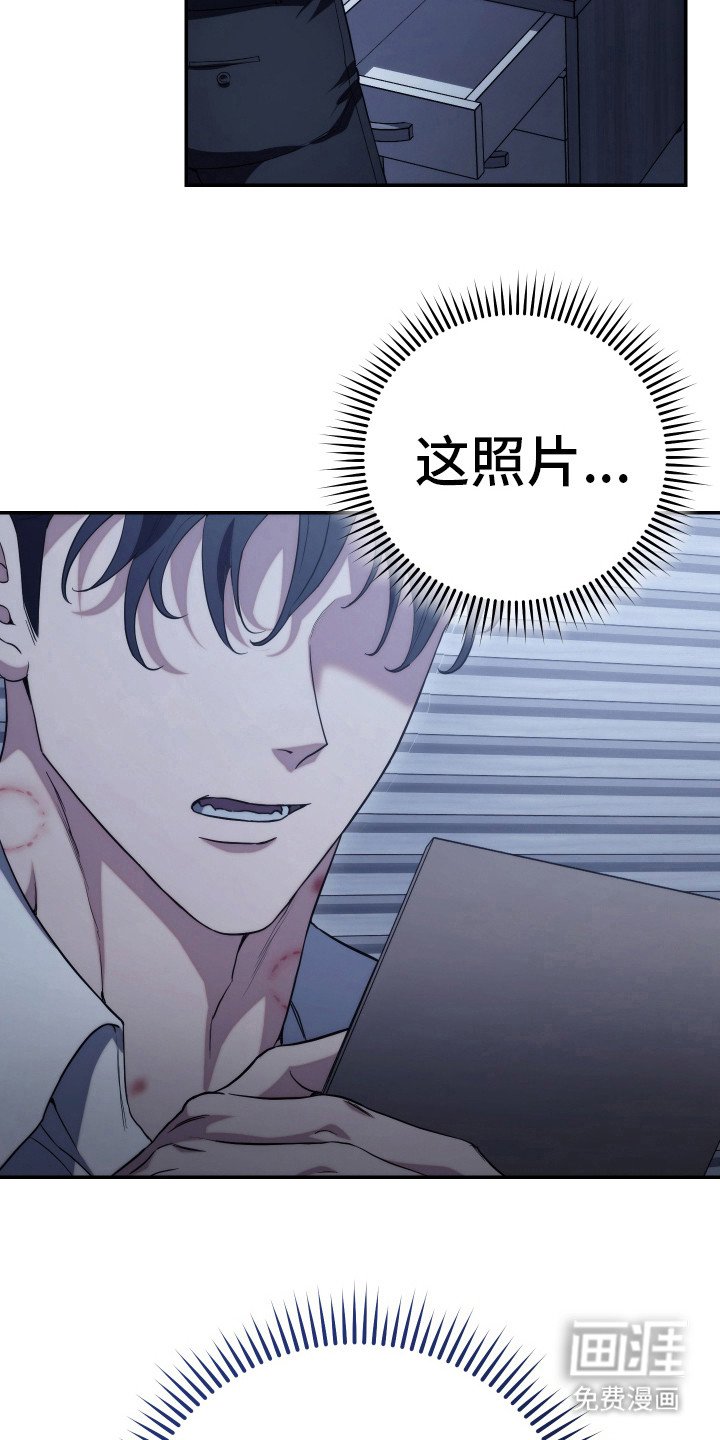 第19章：照片