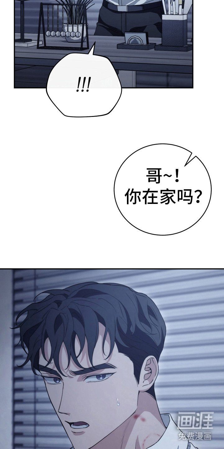 第19章：照片