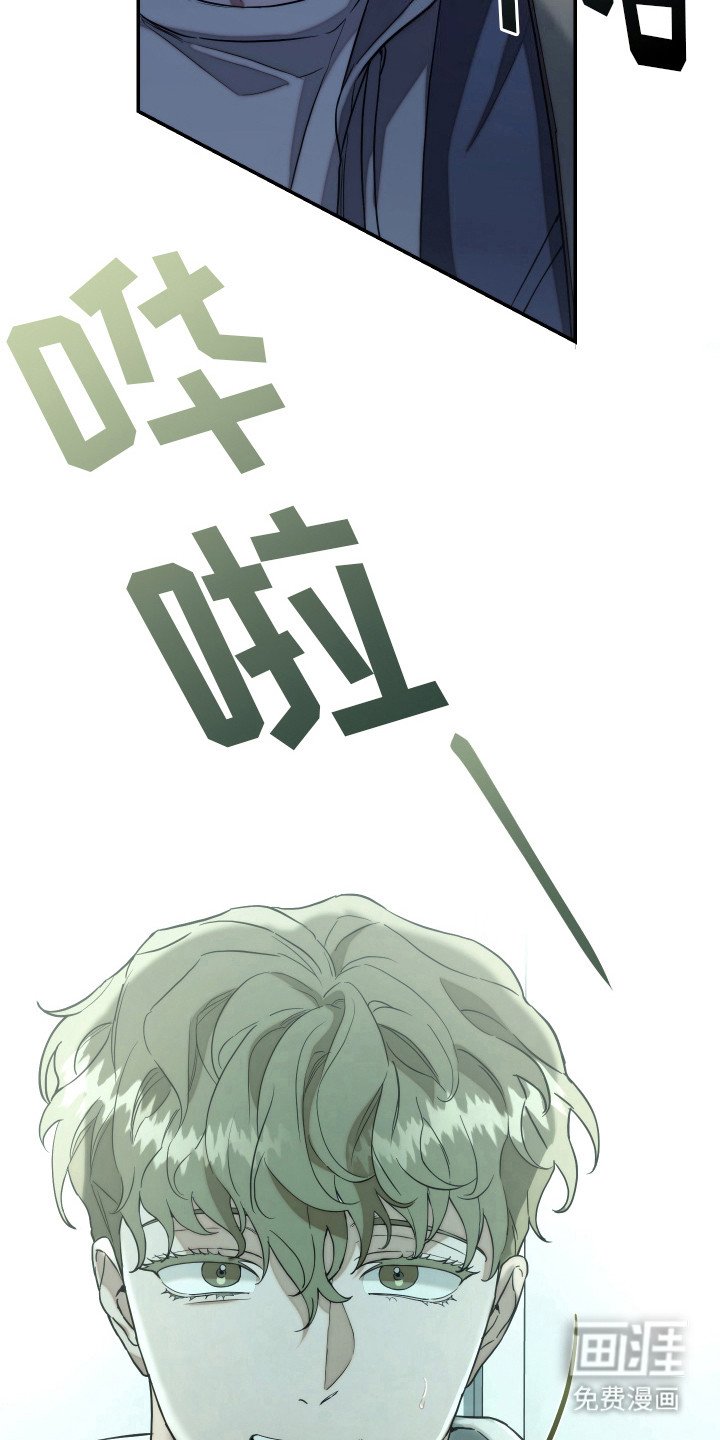 第19章：照片