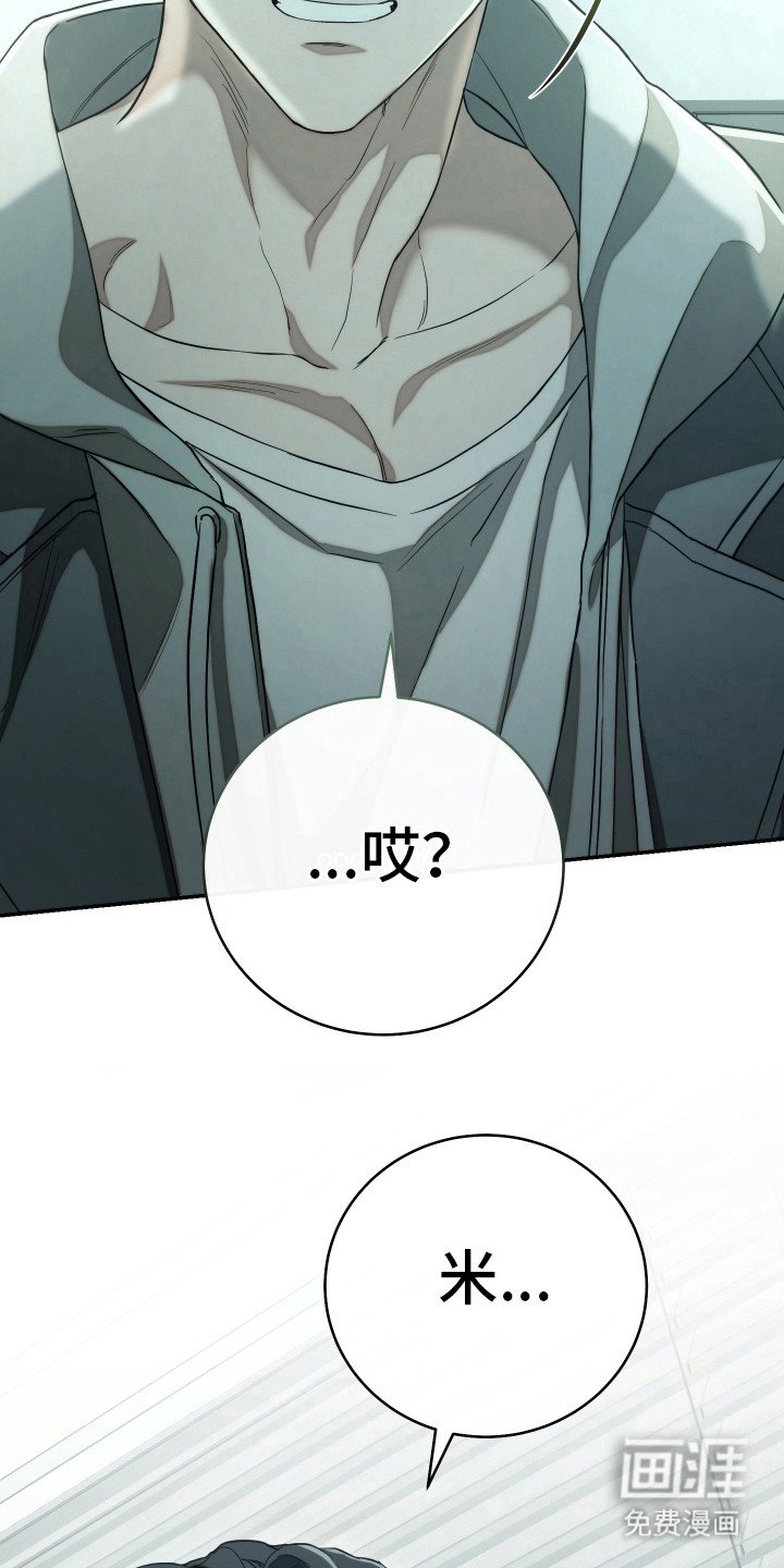 第19章：照片