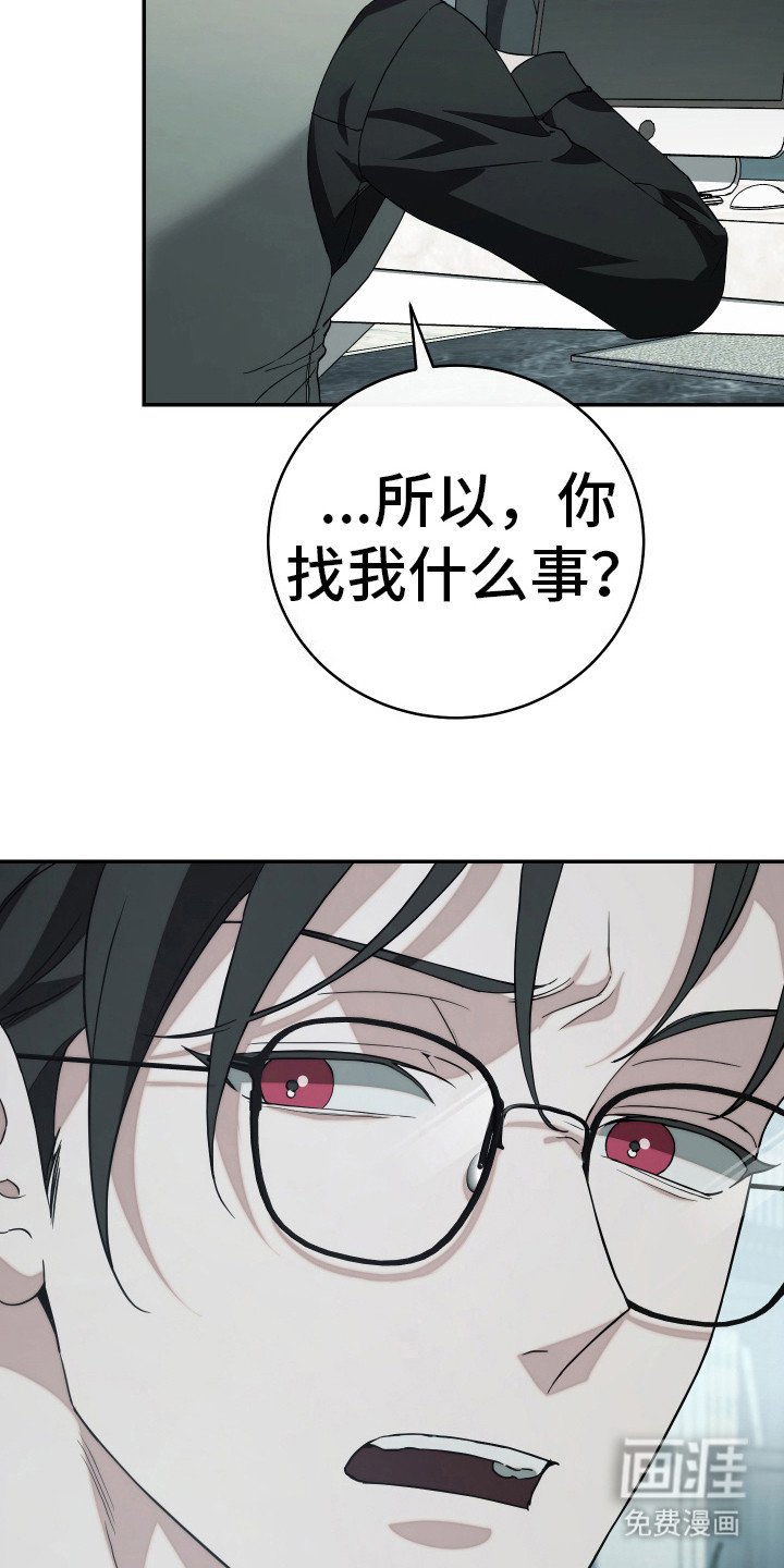 第19章：照片