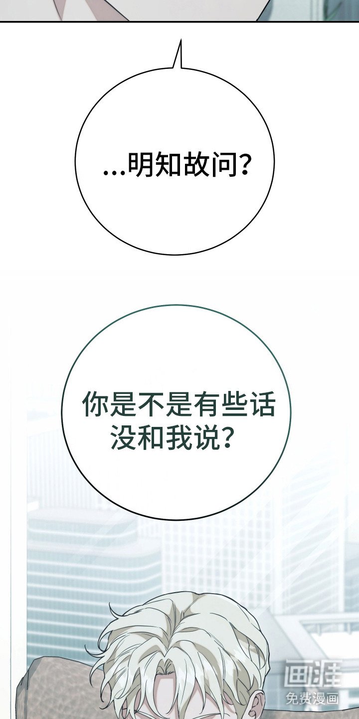 第19章：照片