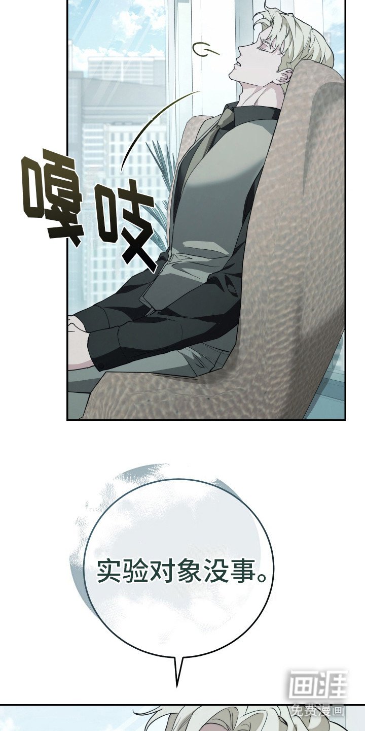 第19章：照片