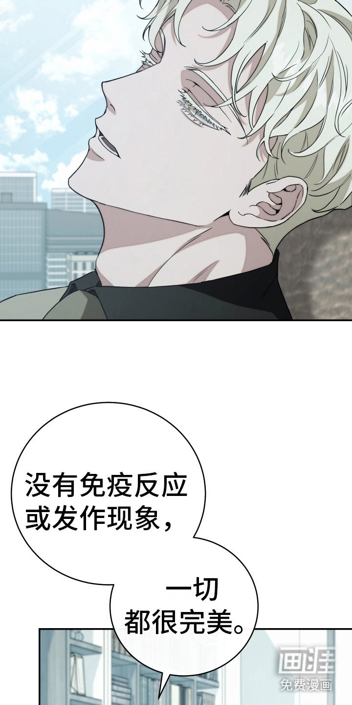 第19章：照片