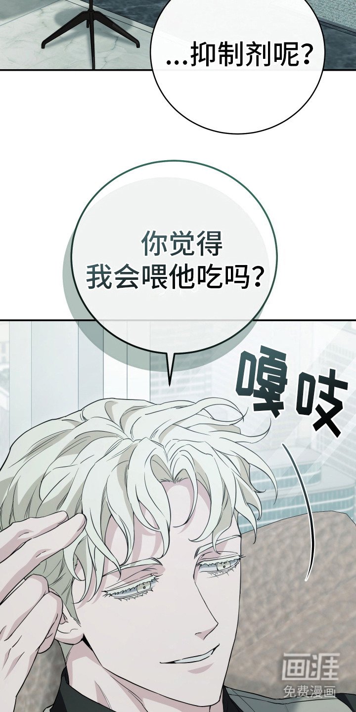 第20章：命运的安排