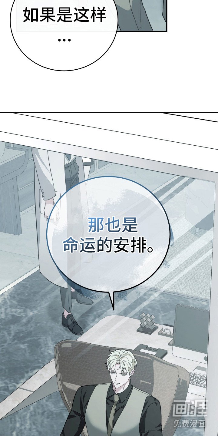 第20章：命运的安排