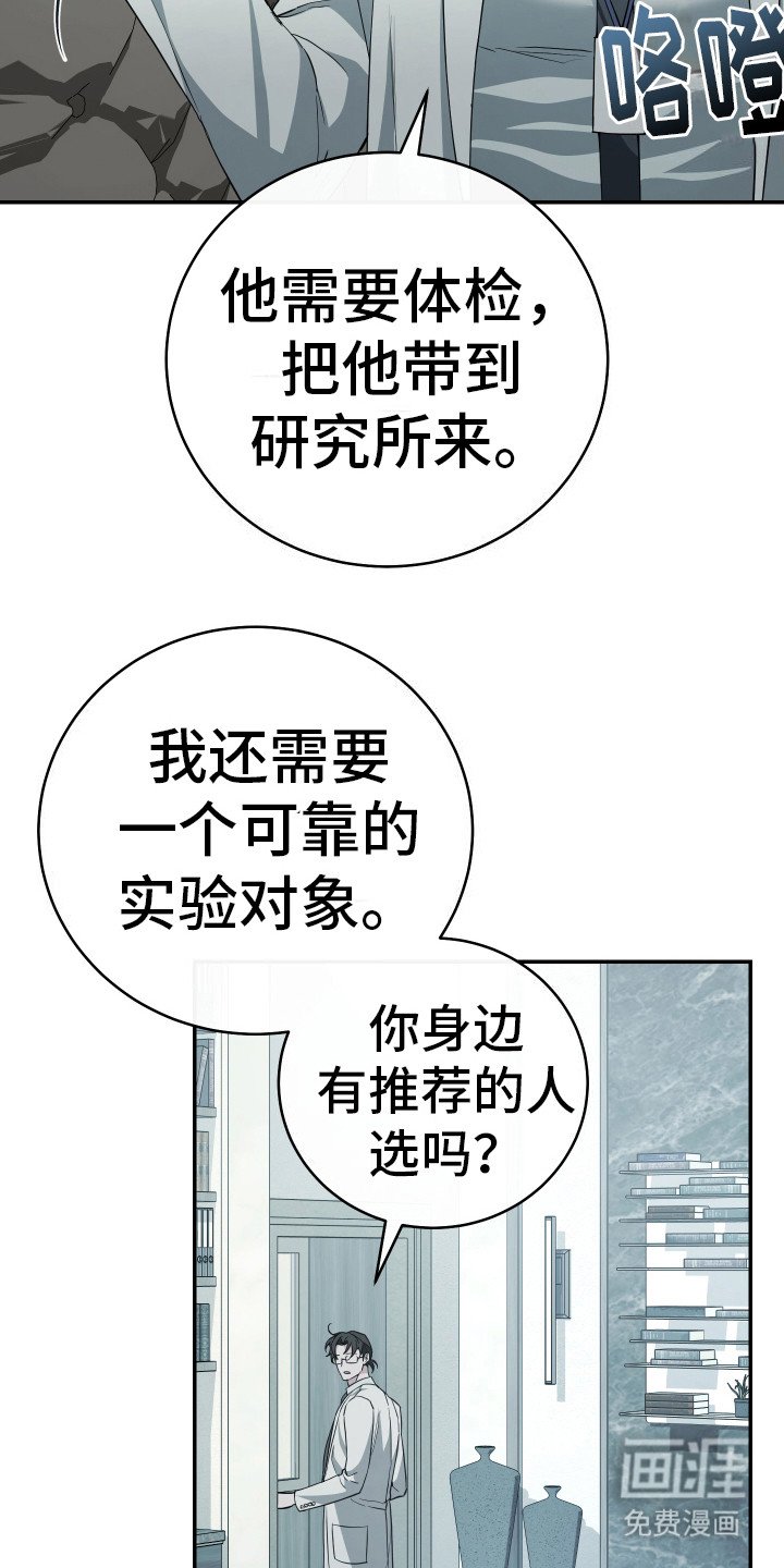 第20章：命运的安排