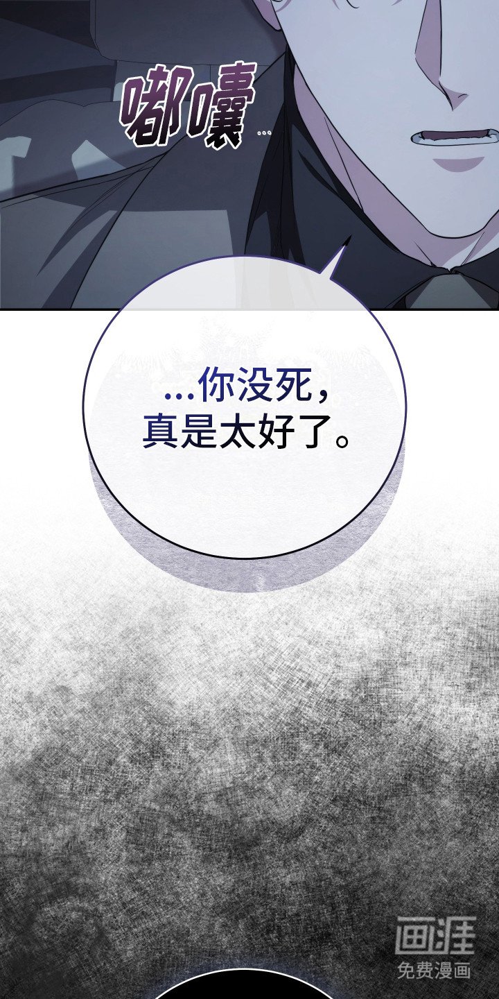 第20章：命运的安排