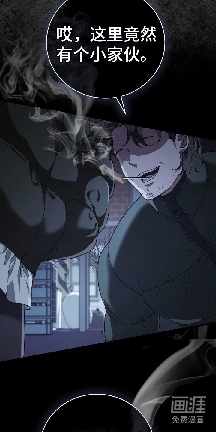 第20章：命运的安排