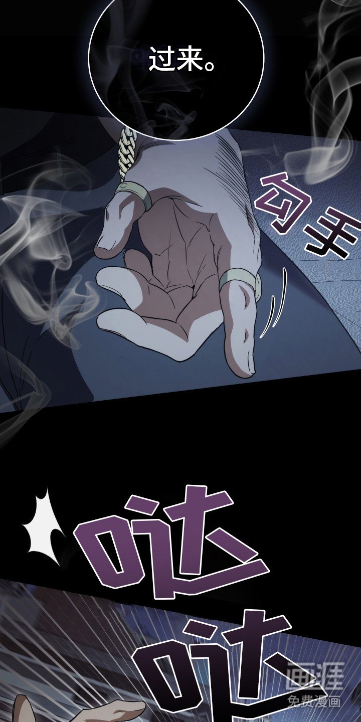 第20章：命运的安排