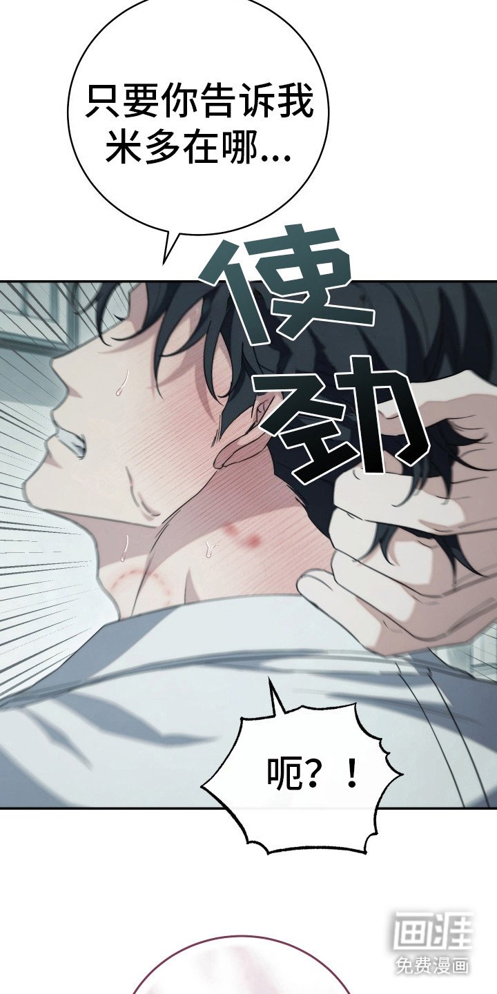 第23章：看这里 