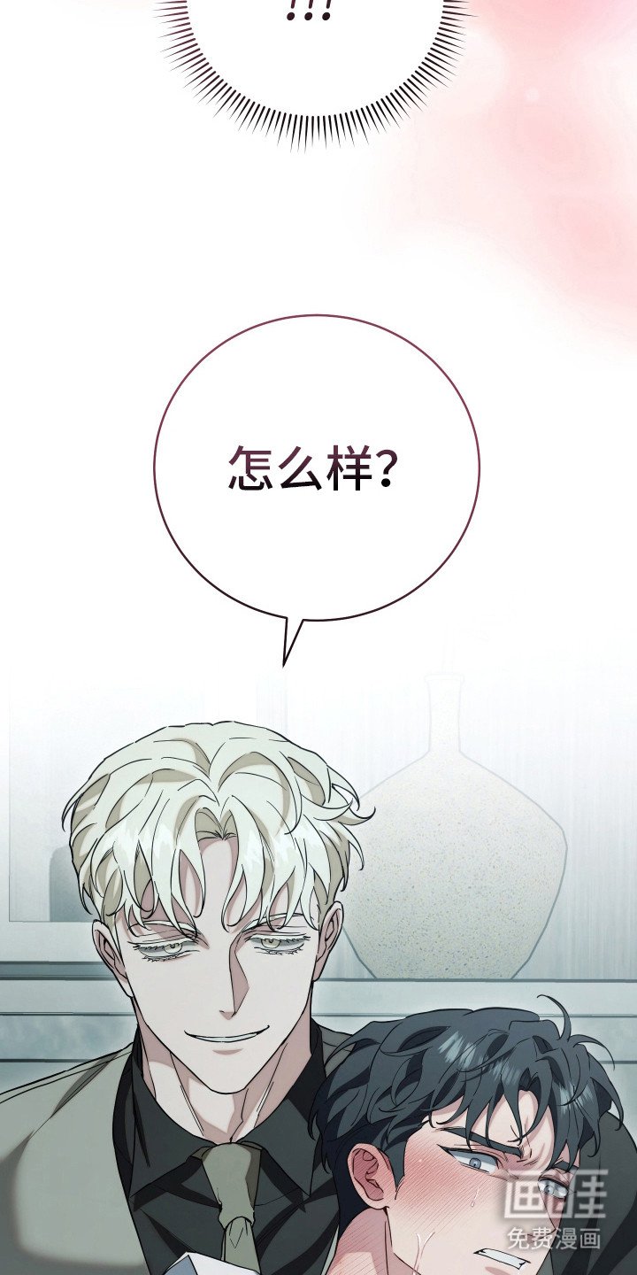 第23章：看这里 