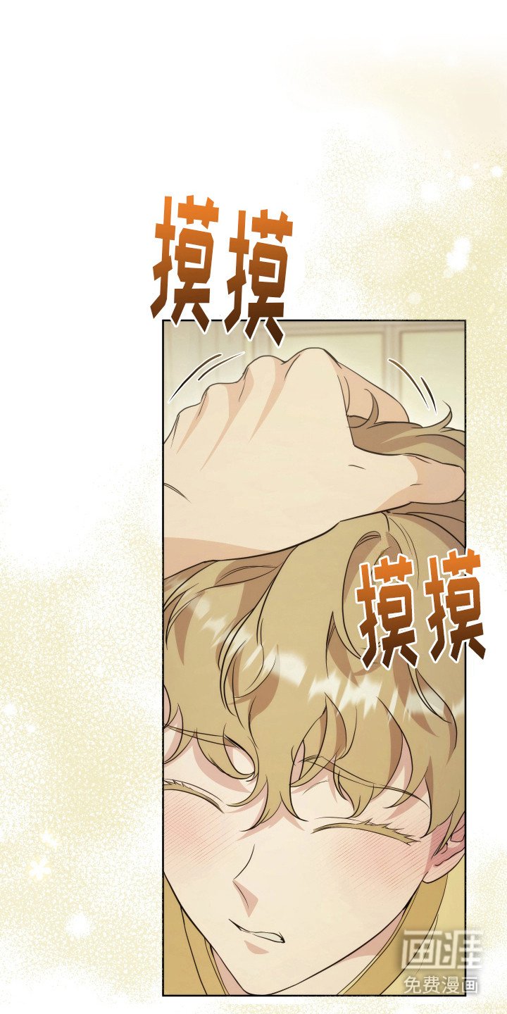第29章：分化