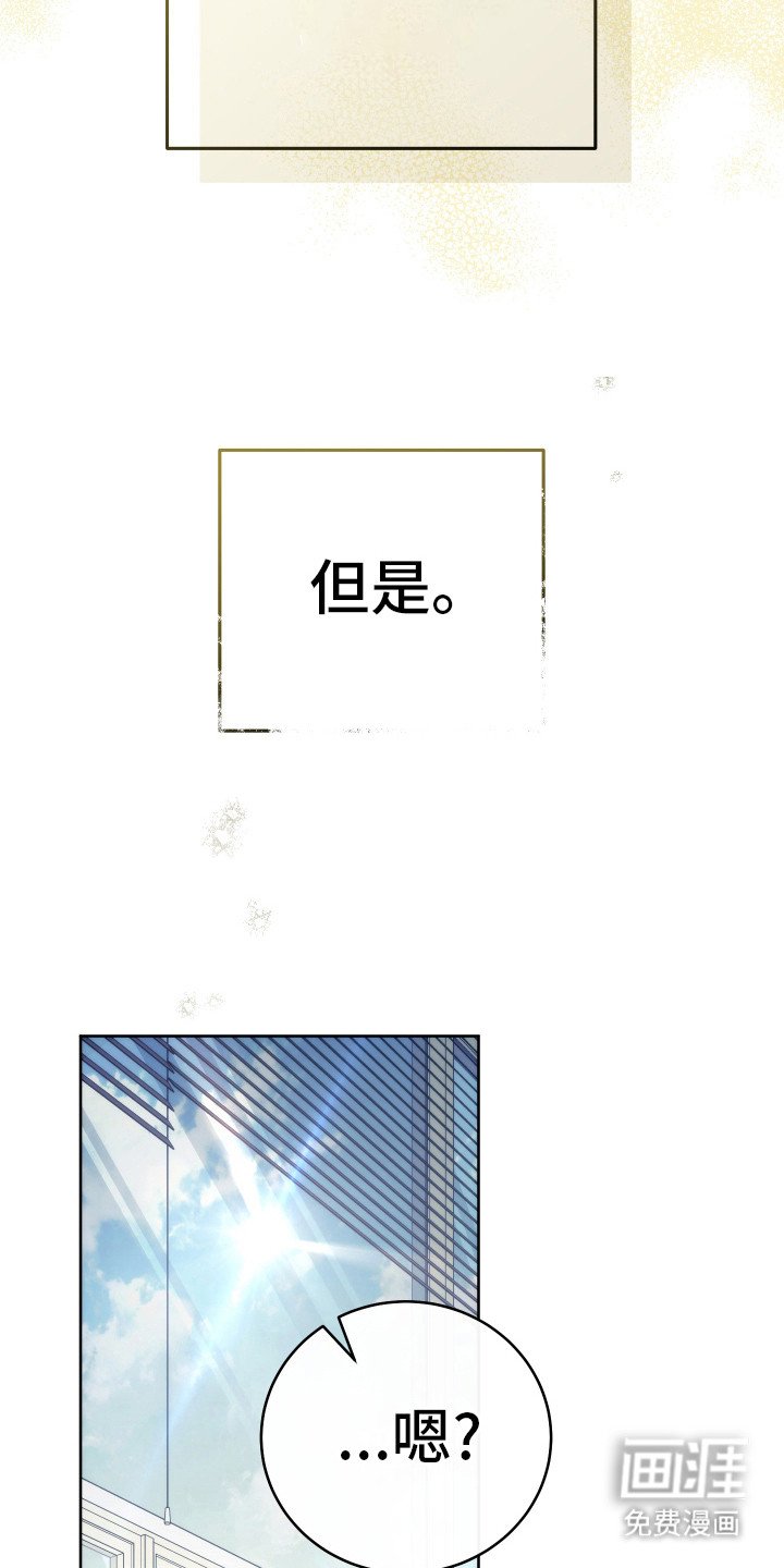 第29章：分化