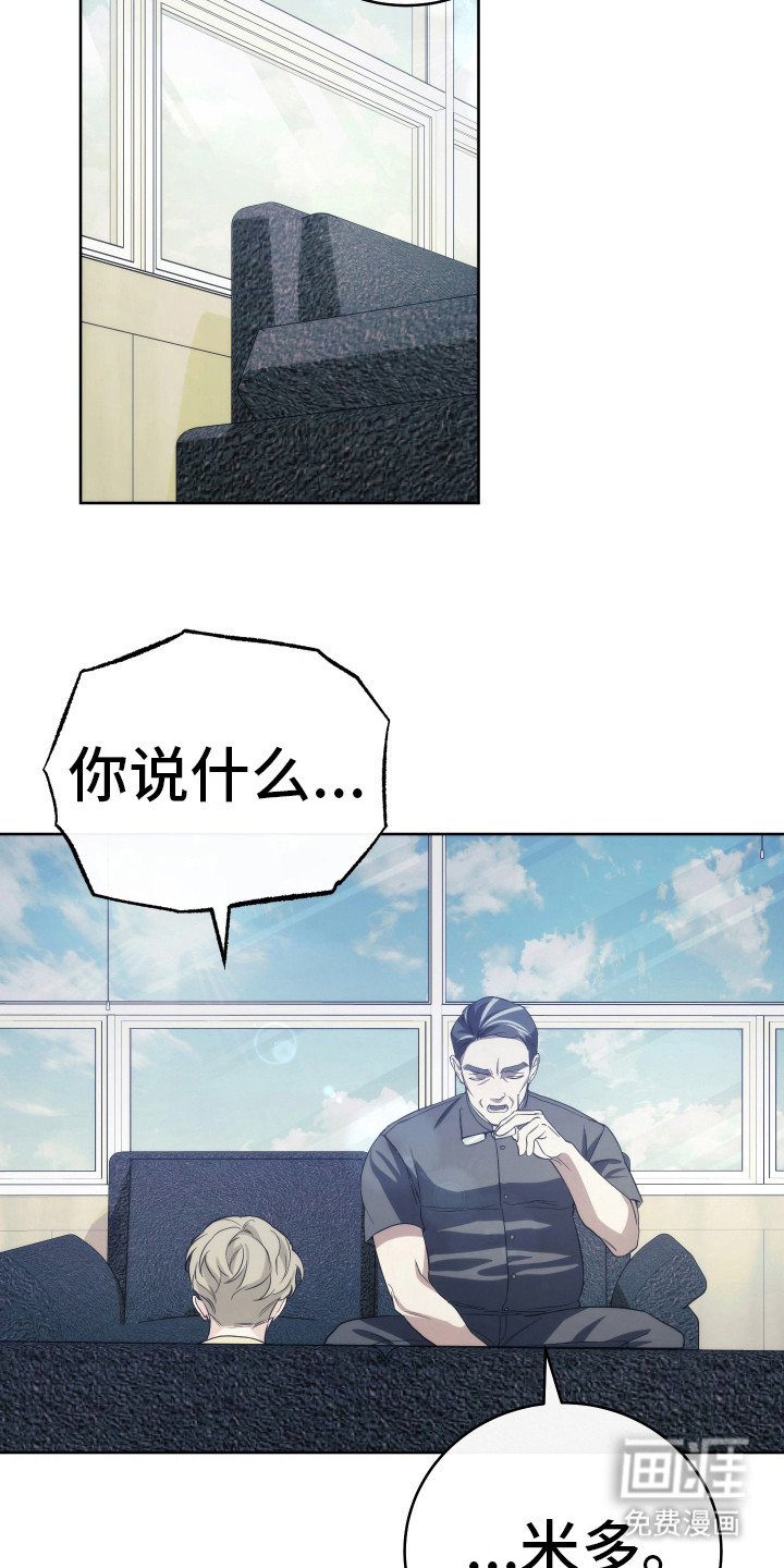 第29章：分化