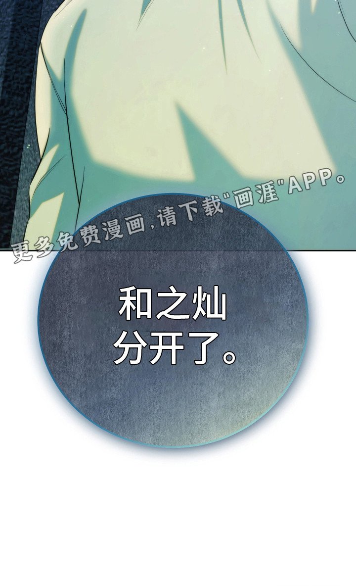 第29章：分化
