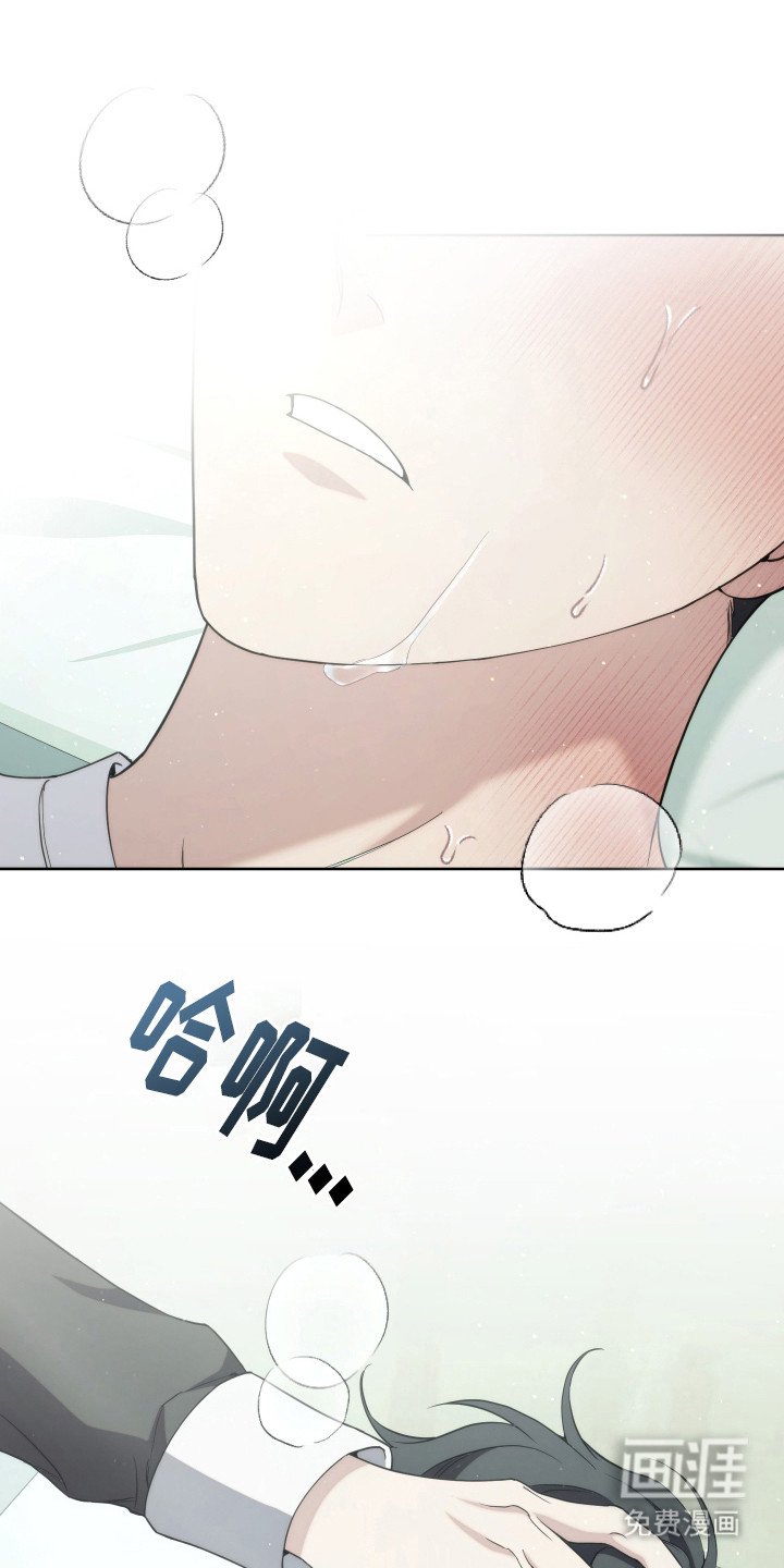 第29章：分化