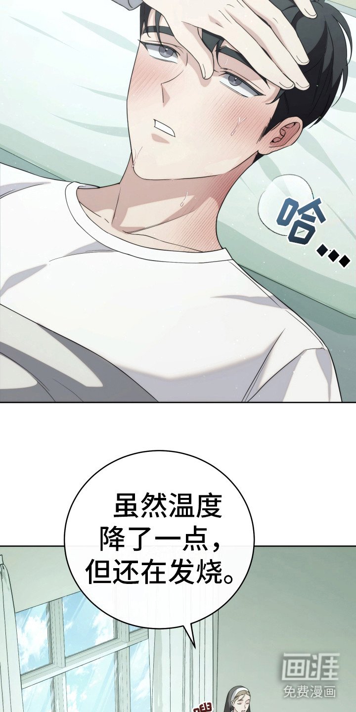 第29章：分化