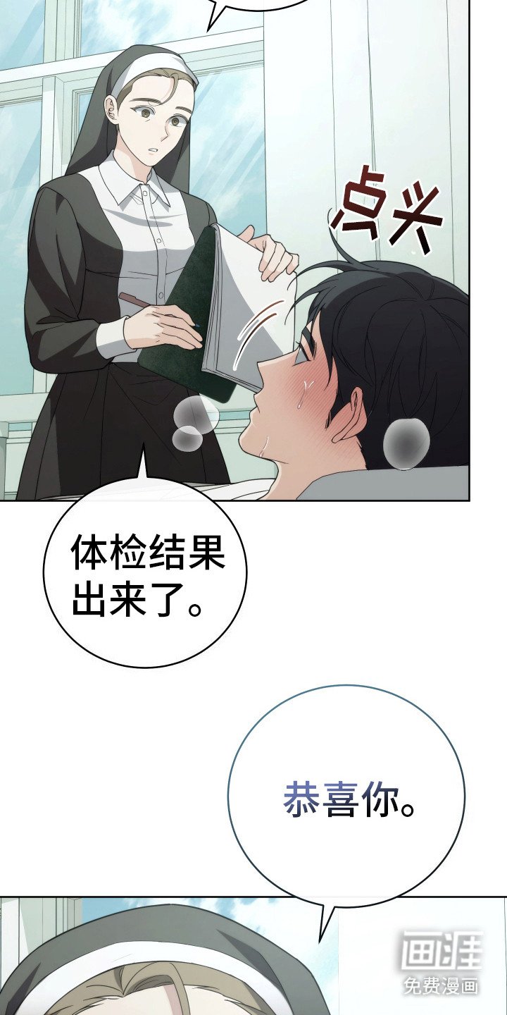 第29章：分化