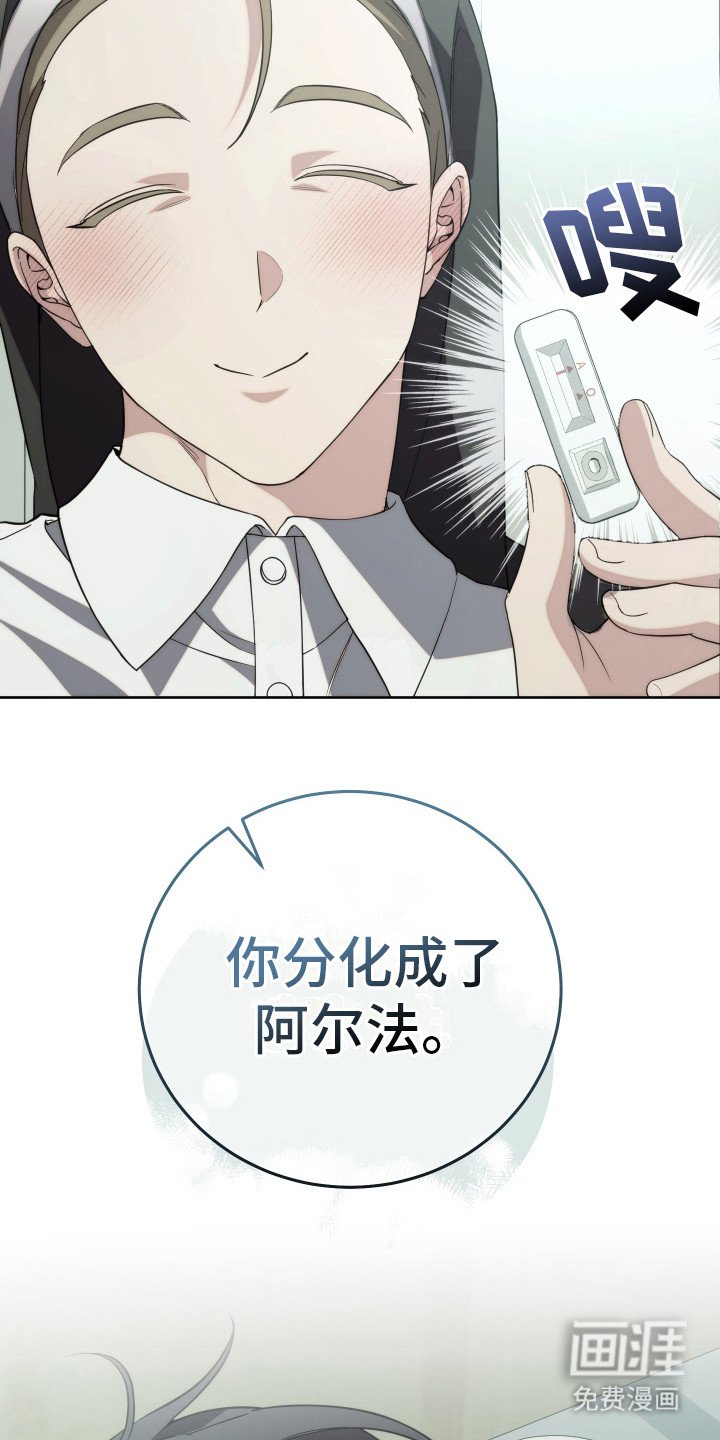 第29章：分化
